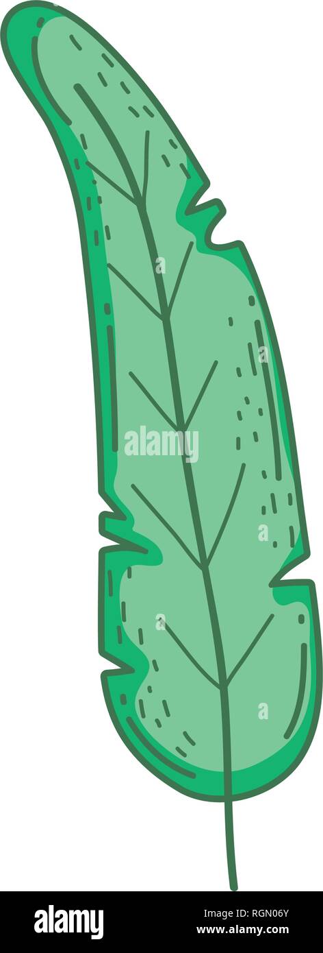 tropical leaf ecology icon Stock Vector Image & Art - Alamy