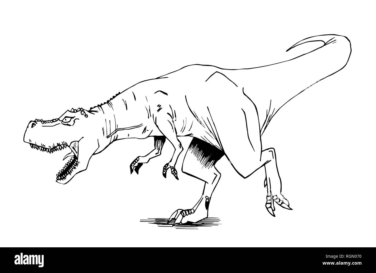 hand draw of tyrannosaurus rex Stock Photo