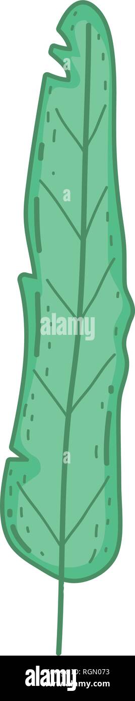 tropical leaf ecology icon Stock Vector Image & Art - Alamy
