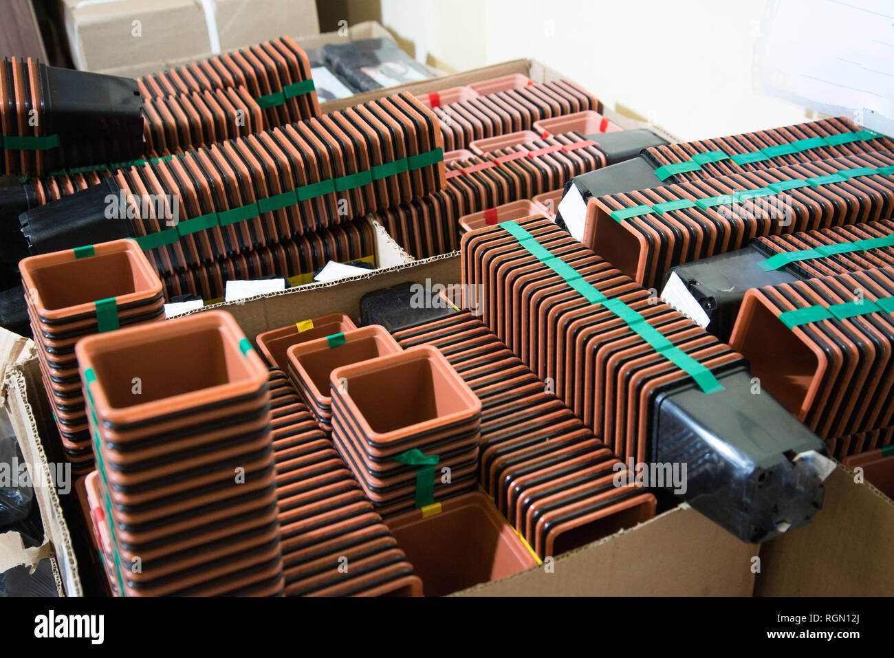 Many plastic cups for seedlings hires stock photography and images Alamy