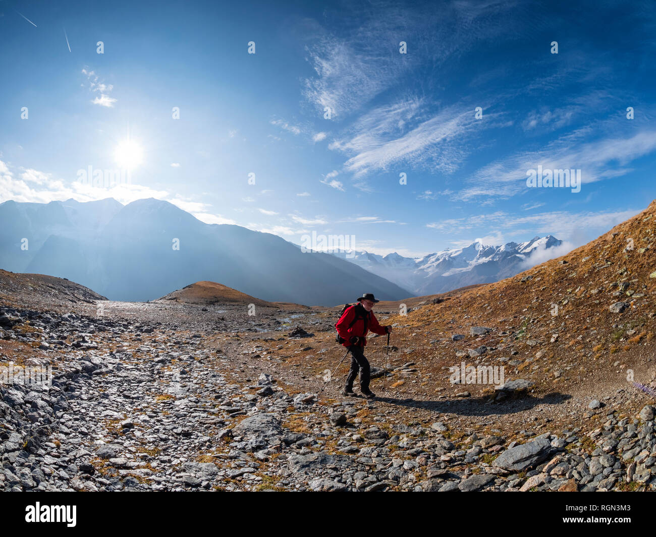 Italy, Trentino, Monte Cevedale, Punta San Matteo, Forno glacier, hiker Stock Photo