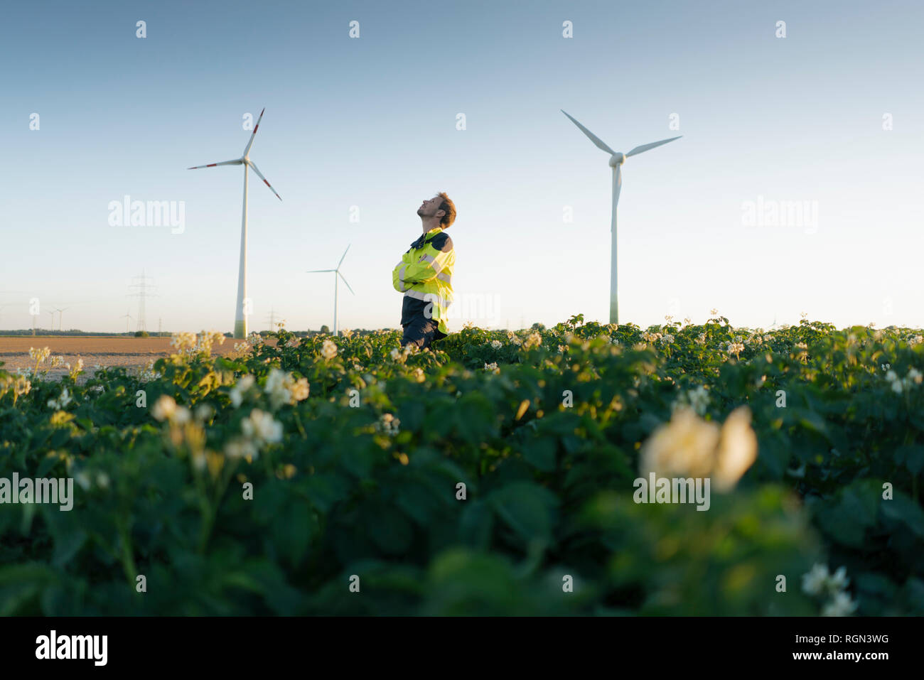 Engineer standing in a field at a wind farm Stock Photo