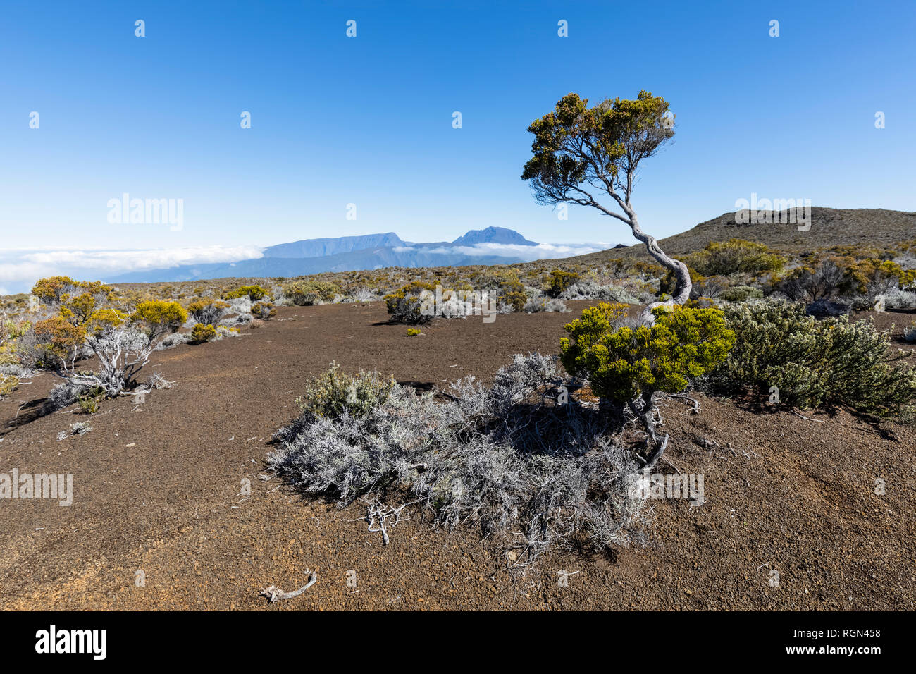 Reunion, Reunion National Park, Piton de la Fournaise, Route du volcan, Plaine des Sables Stock Photo