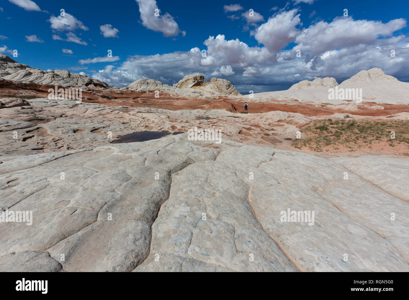 USA, Arizona, Paria Plateau, White Pocket, one person hiking Stock Photo