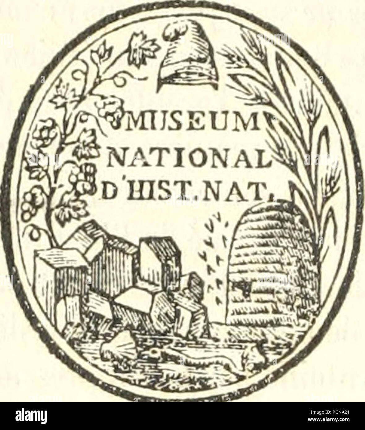Bulletin Du Musum National D Histoire Naturelle Natural History Liberte Egalite Fraternite Museum D Histoire National Naturelle Uu Brtiyt St Gt U I Quot C Lt 2i 7 Lt Mu Iri F R 1 0 Lt Al A Please Note That Bulletin Du Musum National D Histoire Naturelle Natural History Liberte Egalite Fraternite Museum D Histoire National Naturelle Uu Brtiyt St Gt U I Quot C Lt 2i 7 Lt Mu Iri F R 1 0 Lt Al A Please Note That