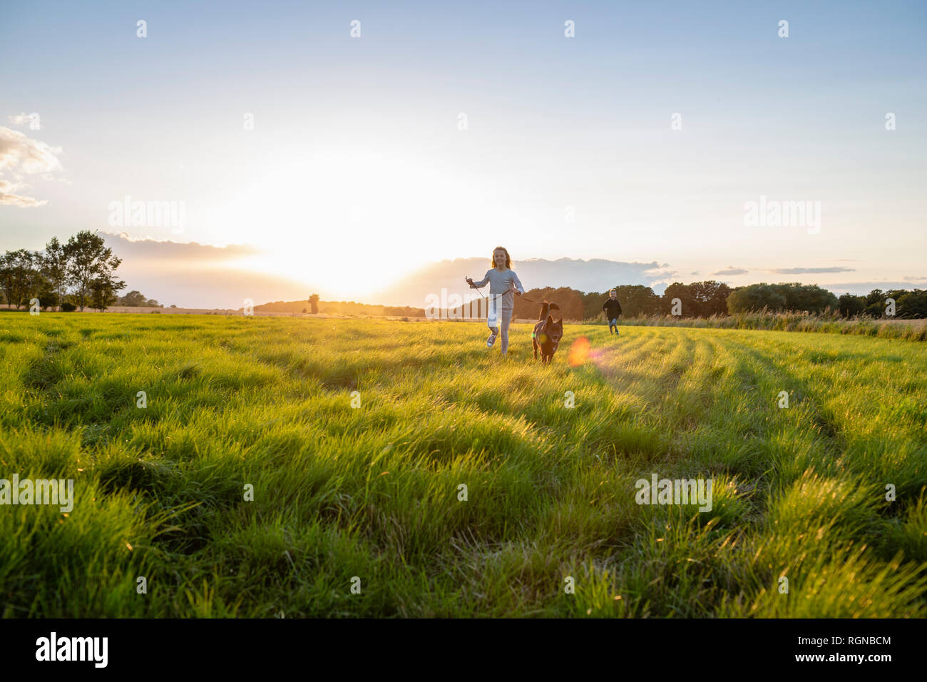 Two children with a dog running over a field at sunset Stock Photo