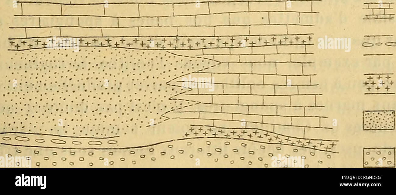 Diceras High Resolution Stock Photography And Images - Alamy