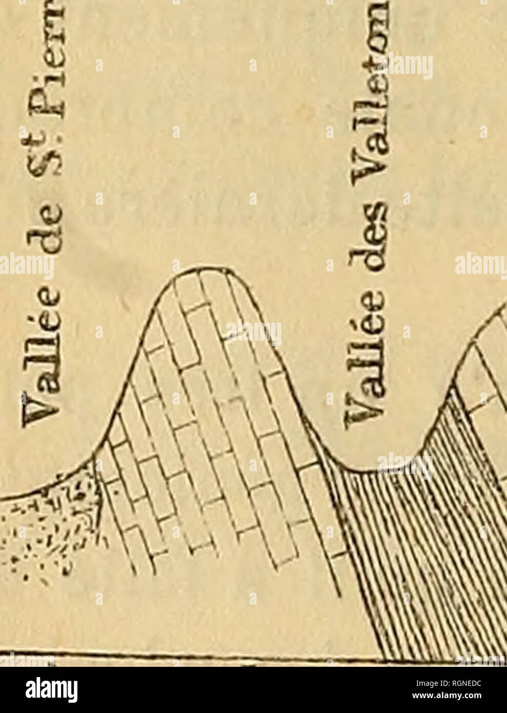 . Bulletin de la SociÃ©tÃ© gÃ©ologique de France. Geology. 506 L. CARISZ, CRÃTACÃ DES ENVIRONS DE MARTIGUES. 16 avril pÃ¨re le raccordement entre ces deux points, et ne montre pas la cause delÃ lacune constatÃ©e dans la deuxiÃ¨me localitÃ©. La coupe de la Gueule d'Enfer (fig. 1) va de la vallÃ©e de Saint- Pierre Ã l'Etang de Berre; elle prÃ©sente : 1. Le NÃ©ocomien calcaire formant une premiÃ¨re colline Ã la limite de la dÃ©pression tertiaire; 2. Le NÃ©ocomien marneux occupant une vallÃ©e Ã©troite et conte- nant de nombreux fossiles : Ostrea Couloni, 0. macropiera, Terebra- tula prÅlonga, Echi Stock Photo