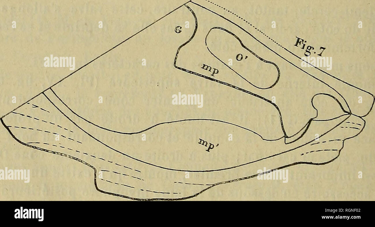 Bulletin De La Socia C Ta C Ga C Ologique De France Geology 1 Cet A