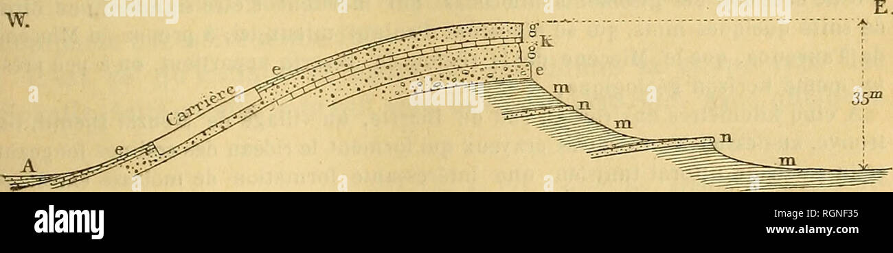 Cuvette centrale hires stock photography and images Alamy