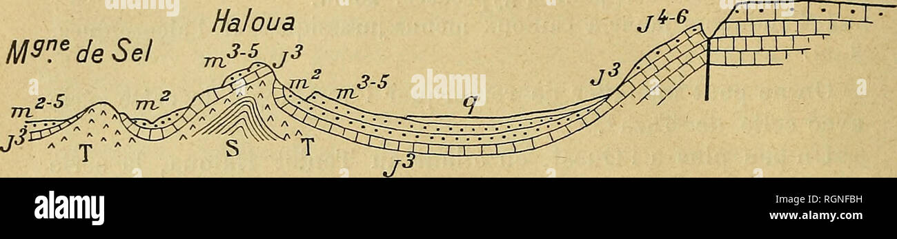 . Bulletin de la Société géologique de France. Geology. p. RUSSO W. Haloua FiaafS'.Bou Otman. FiG. ]. — Coupe prise un peu au sud de Mahiridja W.* Hesdis Moalouya Gada.. Please note that these images are extracted from scanned page images that may have been digitally enhanced for readability - coloration and appearance of these illustrations may not perfectly resemble the original work.. Société géologique de France. Paris : La Société Stock Photo