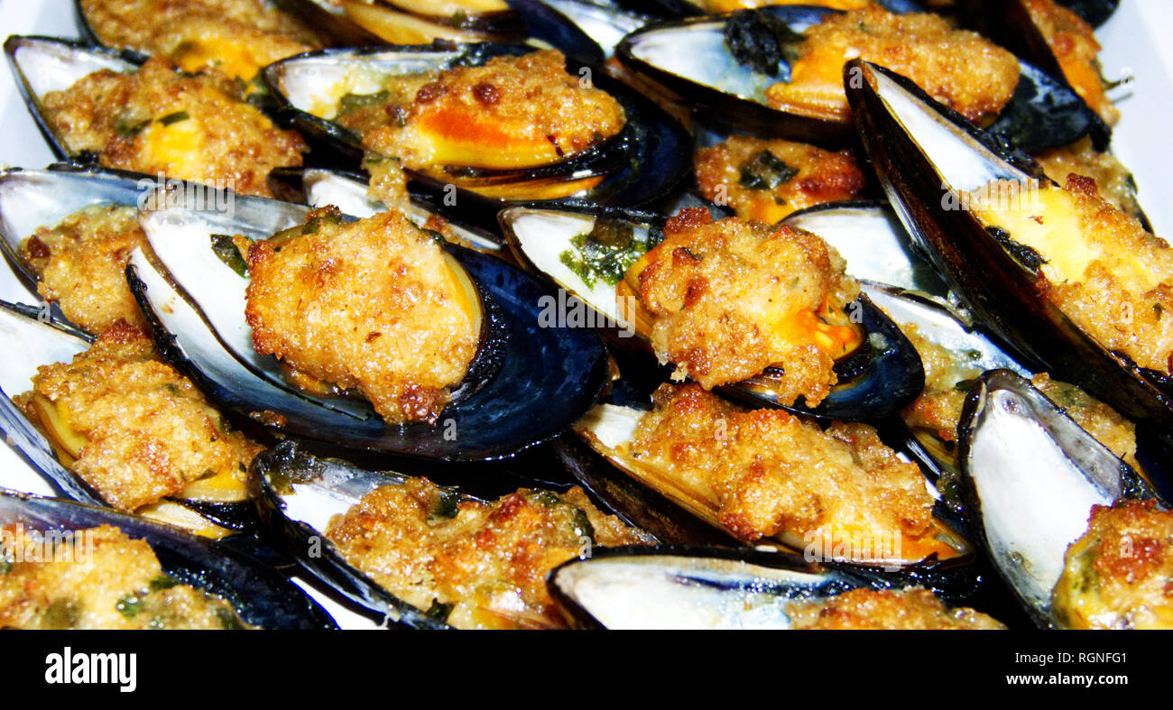 Mussels au gratin, cozze gratinate, on the plate, italian food Stock