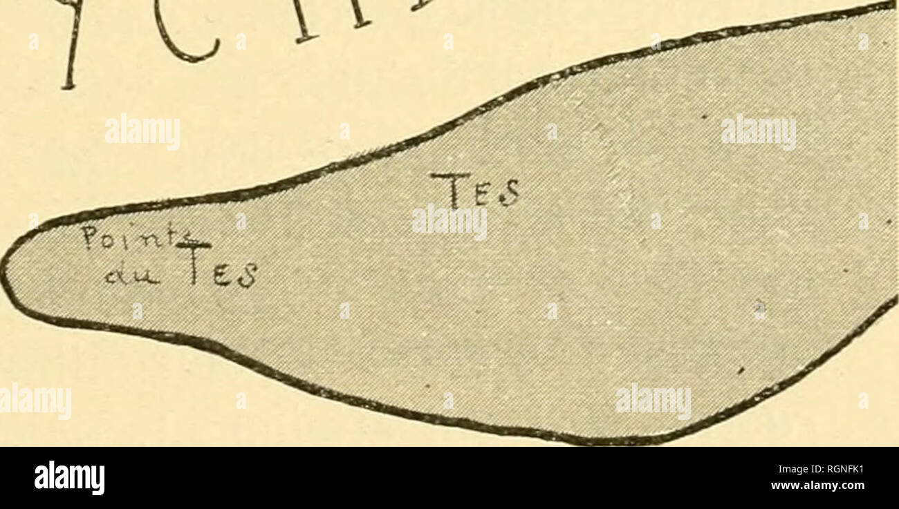 Geschwindigkeit Dating kansas Stadtvereine