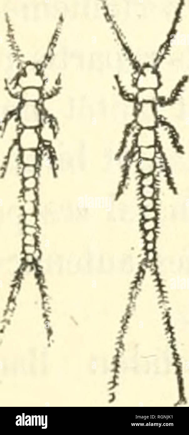 Chapelets High Resolution Stock Photography and Images - Alamy