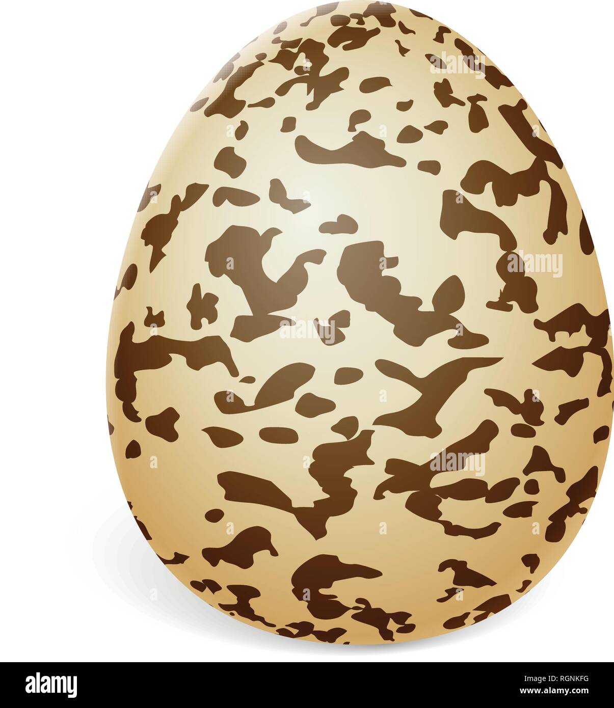 Quail egg on a white background. Vector illustration. Stock Vector