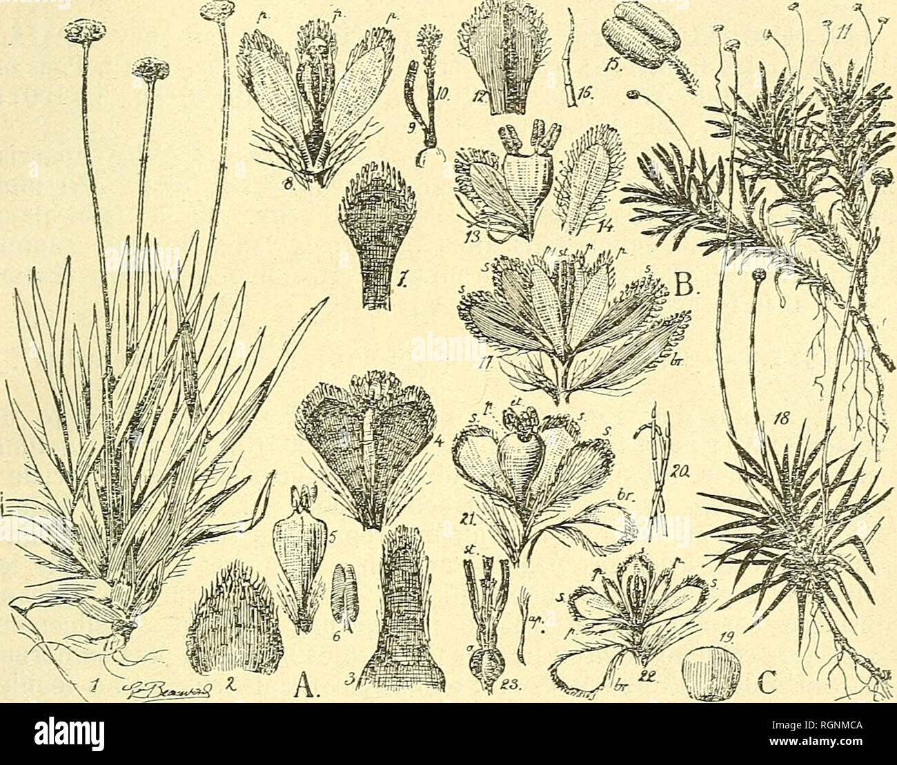 Souda Port High Resolution Stock Photography And Images Alamy