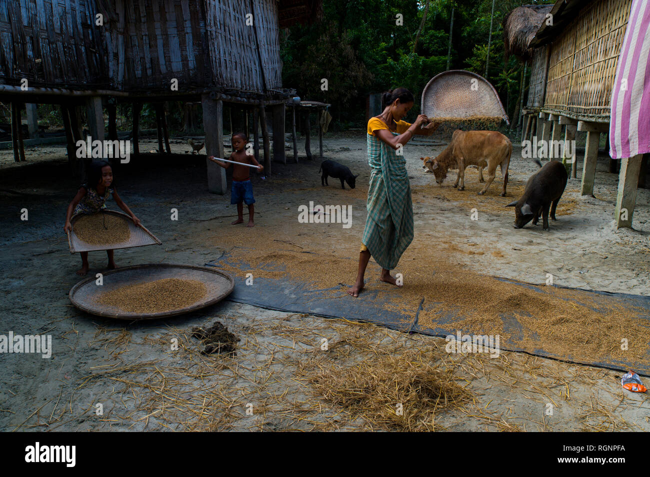 Majuli, Assam Stock Photo