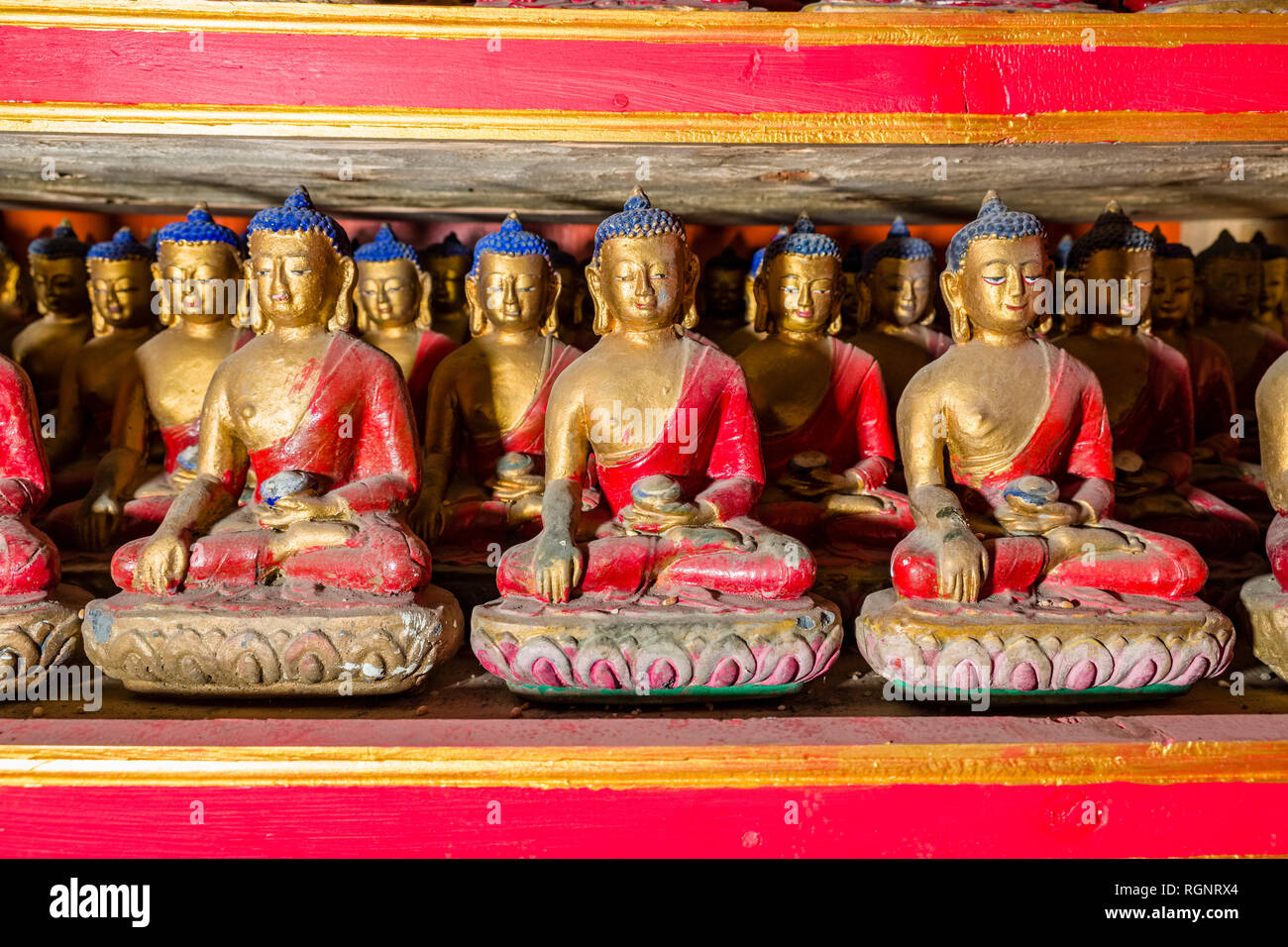 Rows of small red and golden painted Buddha statues inside Braga Gompa, the local monastery Stock Photo