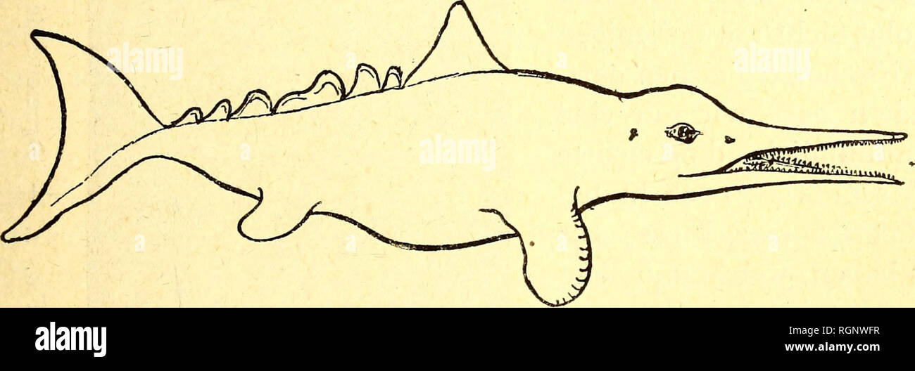 Bulletin De Vote High Resolution Stock Photography And Images Alamy