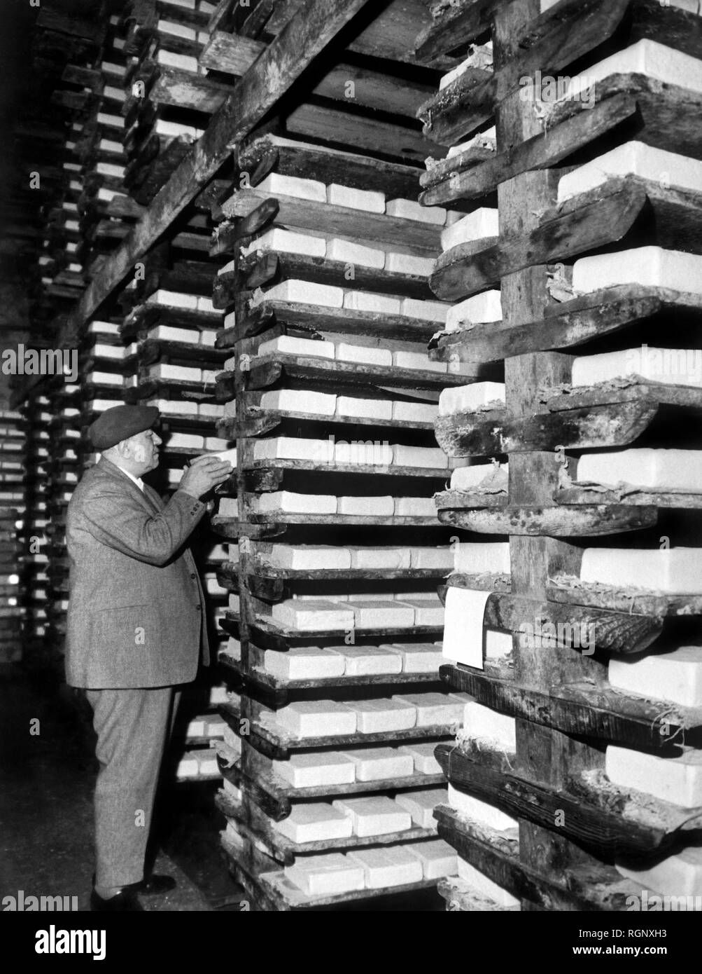 the maturing of taleggio cheese, italy 1965 Stock Photo