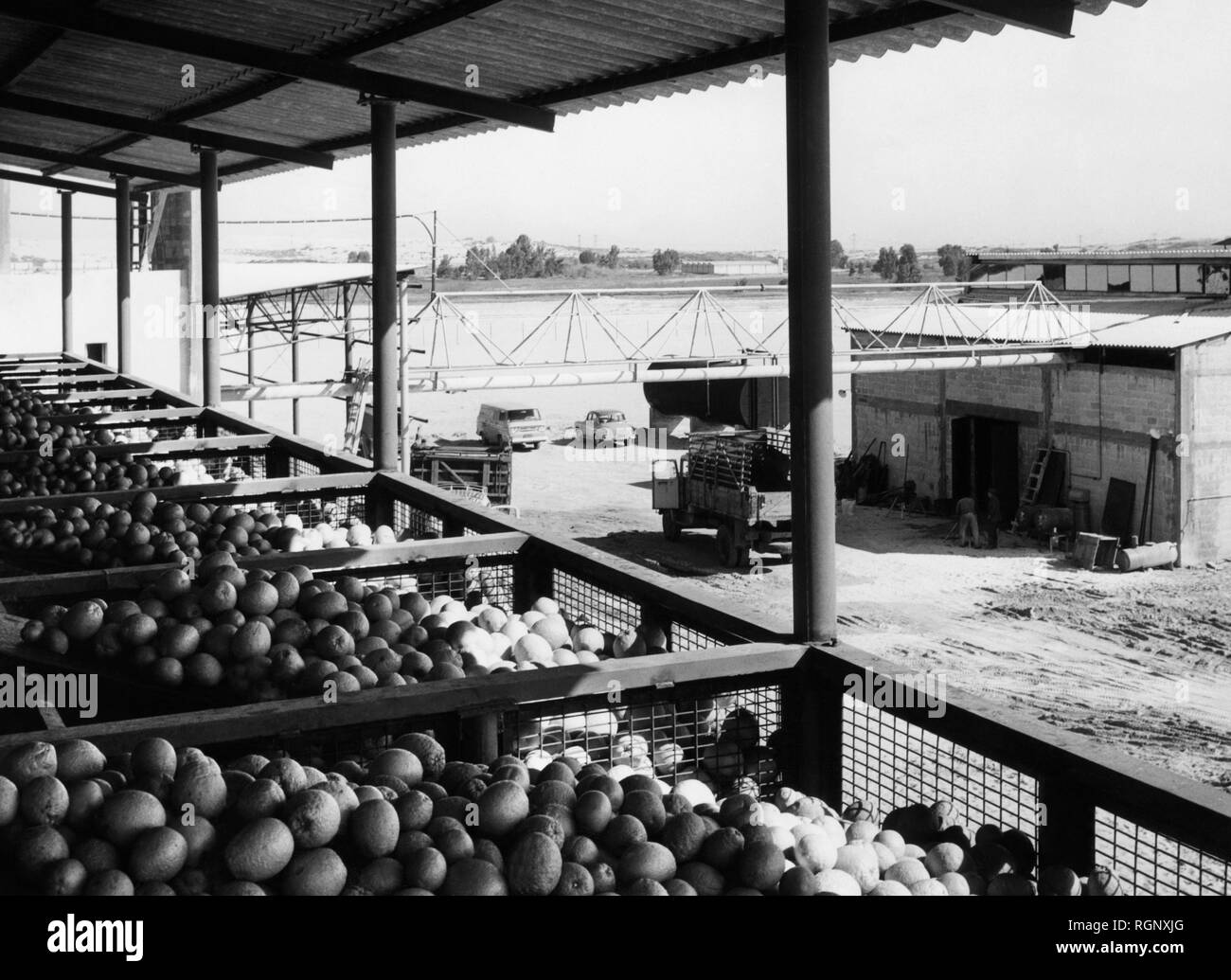 middle east, israel, ashdod, citrus processing plant, 1963 Stock Photo