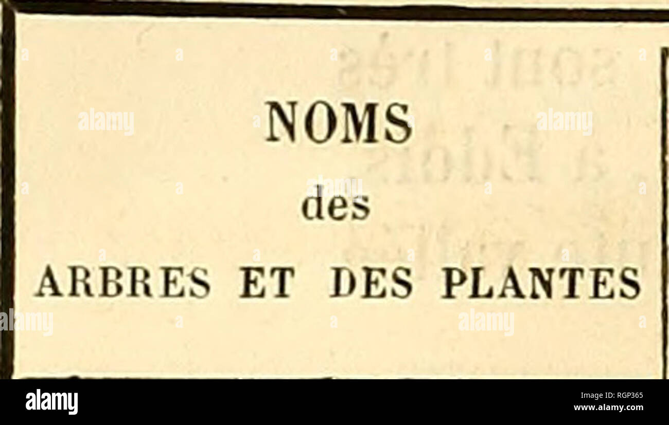 Bulletin De La Socia C Ta C Nationale D Acclimatation De France Zoology Tableau Des Arbres Arbres Et Plantes De La Vaga Cercle De Boghar Annexe De Chellala Cercle De Djelfa Pin D Alep Thuya Gena C Vrier