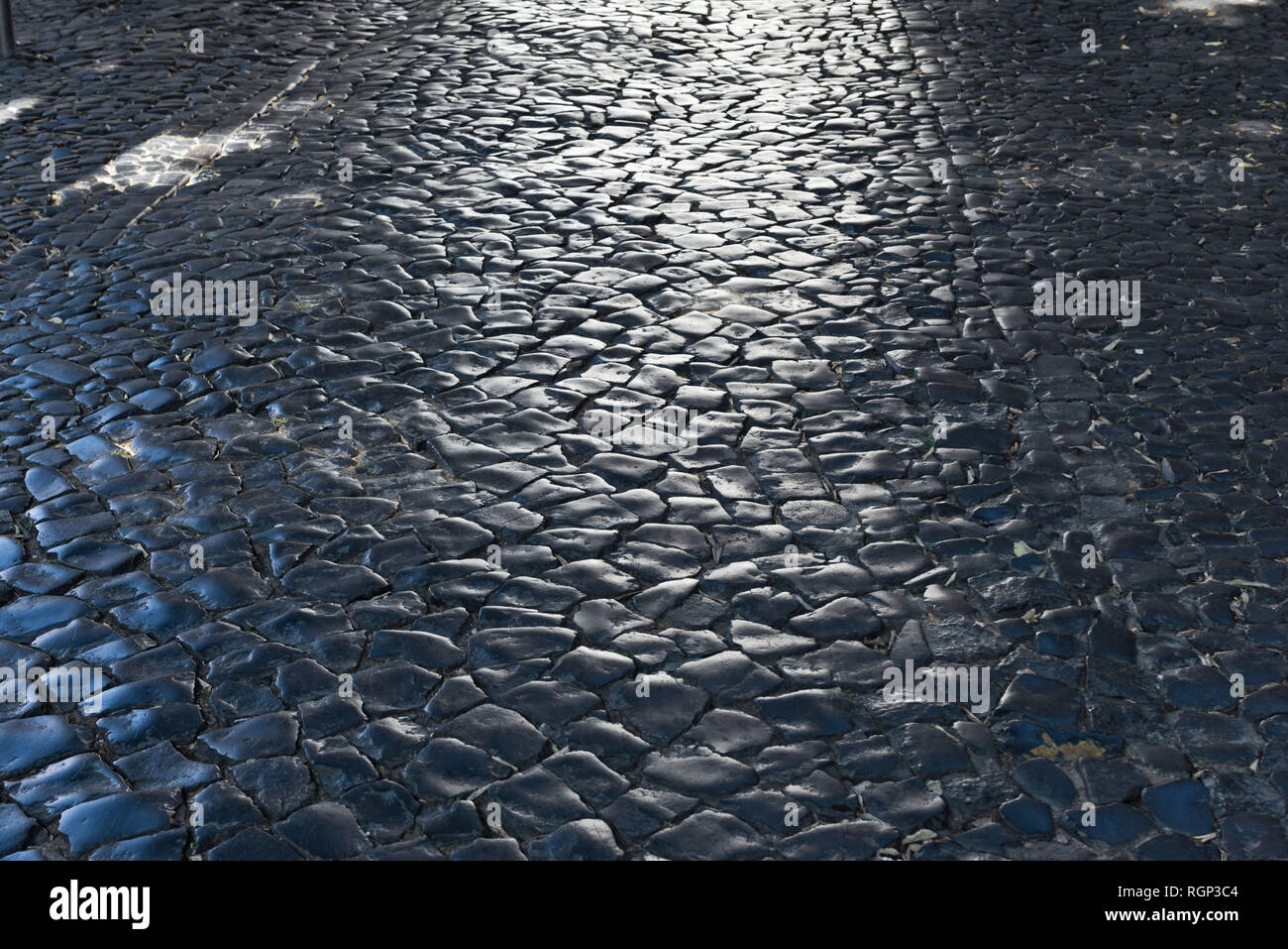 Cobblestones with nice reflections and blue shadows. Stock Photo