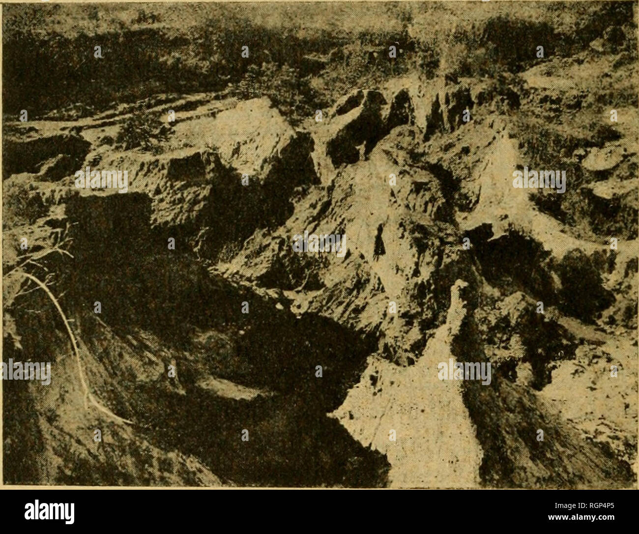 . Bulletin de la SociÃ©tÃ© gÃ©ologique de France. Geology. 464 EDMOND BERNET niveau du terrain. La relation entre ces trois facteurs peut s'Ã©crire de la faÃ§on suivante : de la teneur originelle en or du gneiss. de l'abaissement du ter- Teneur en or de la latÃ©rite = fonction rain par Ã©rosion. Il est dÃ©jÃ intÃ©ressant de constater que les gisements aurifÃ¨res sont plus riches dans la rÃ©gion intermÃ©diaire, telle que je l'ai dÃ©finie dans le chapitre I et indiquÃ©e sur la fig. 1, que sur les hauts plateaux de l'intÃ©rieur. C'est une consÃ©quence logique du mode de formation des gisements te Stock Photo