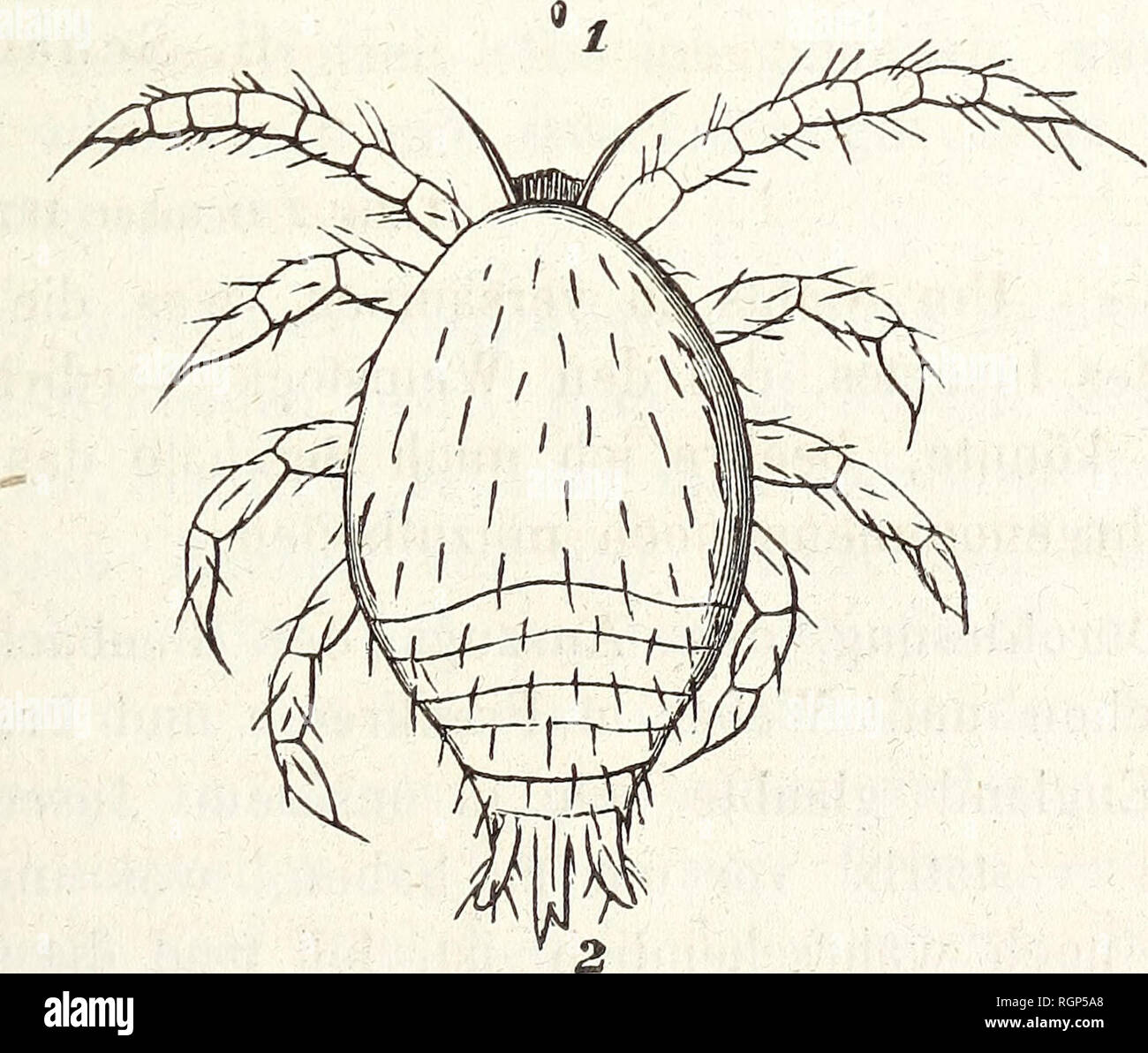 De ha h hi-res stock photography and images - Page 9 - Alamy