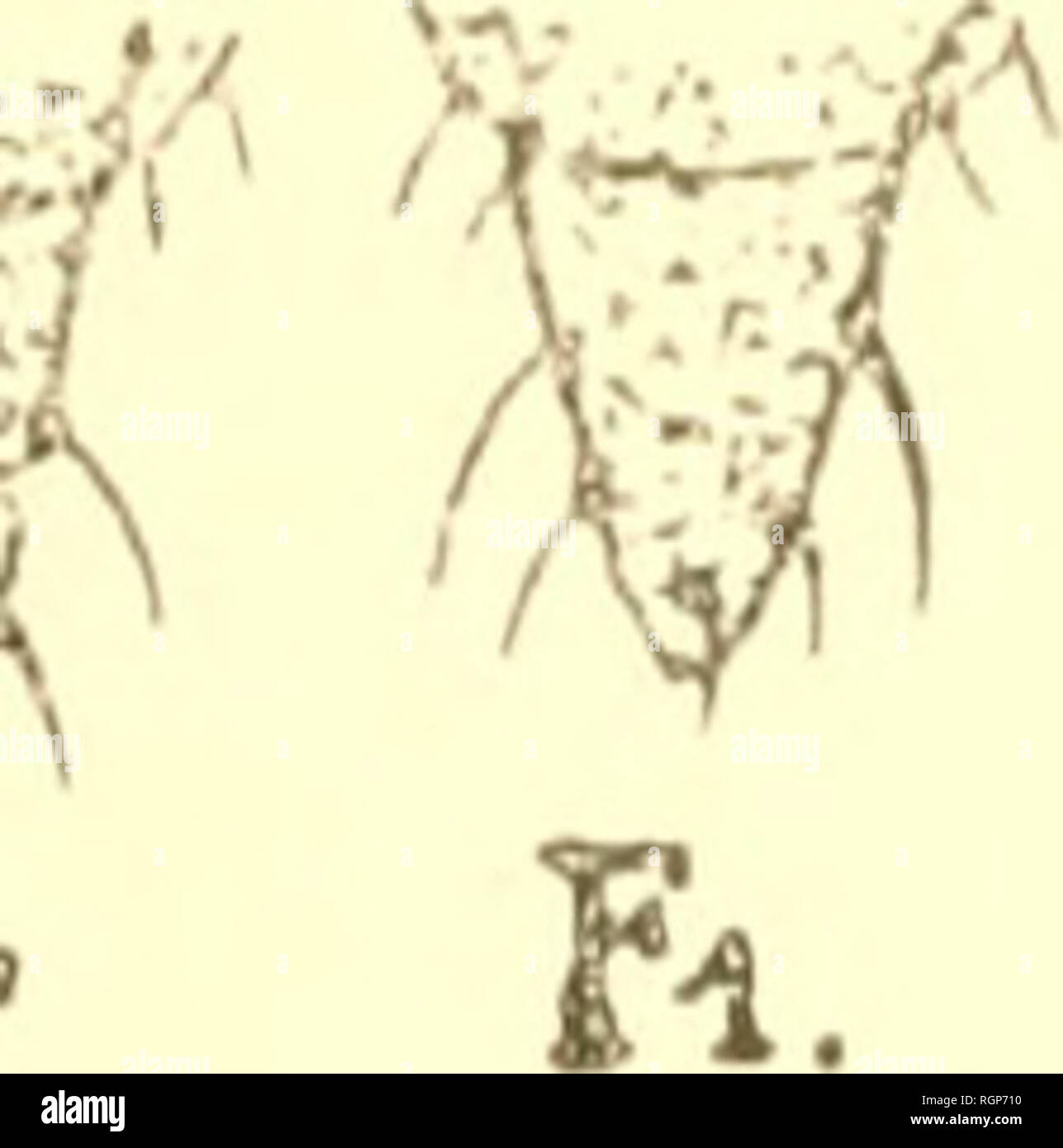 Lenj High Resolution Stock Photography And Images Alamy