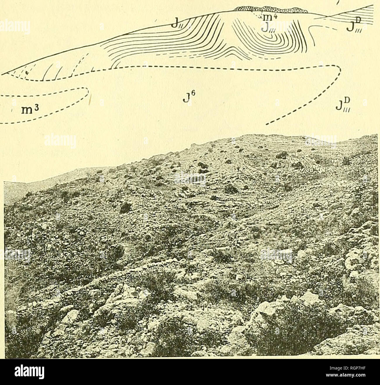 . Bulletin de la SociÃ©tÃ© gÃ©ologique de France. Geology. COMPTE-RENDU DE LA COURSE DU 5 SEPTEMBRE 547 section aiguÃ«, au coude de la Sia- gne, avec tÃªte lÃ©gÃ¨rement dÃ©- versÃ©e au sud, en forme de bon- net phrygien (fig. 21) ; puis, Ã un autre coude, si l'on regarde de l'ouest, la mÃªme section (fig. 22), encore plus Ã©crasÃ©e, et couchÃ©e, en N renversÃ©, sur un synclinal non moins aigu ; tan- dis qu'en regar- dant de Test. Fig. 20. â Plissements visibles Ã l'est du Camp de Mauvans. l'autre paroi de la riviÃ¨re, c'est (fig. a3) une large voÃ»te ronde qu'on aperÃ§oit, plutÃ´t penchÃ©e ver Stock Photo