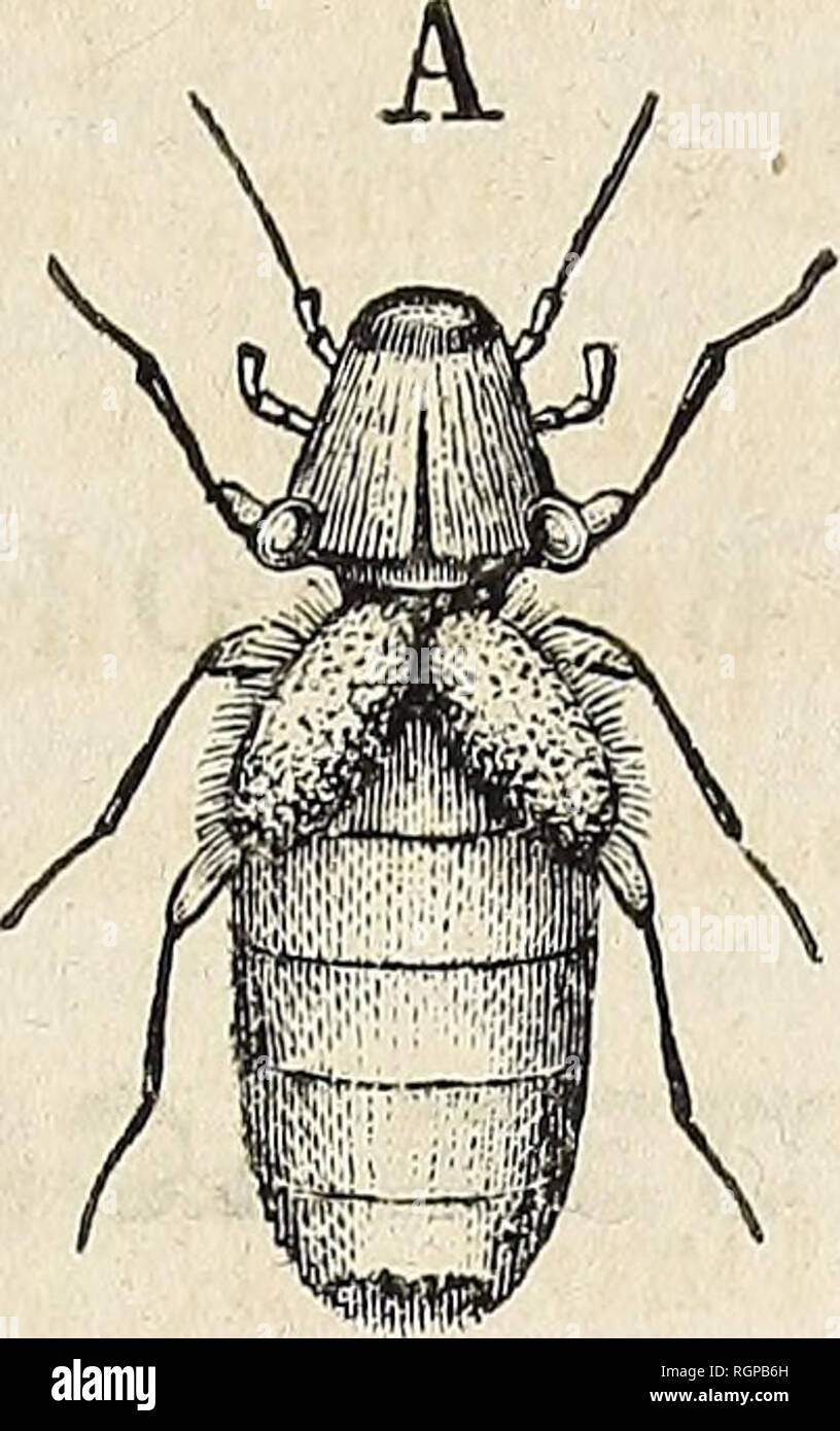 Sa 511 High Resolution Stock Photography And Images Alamy