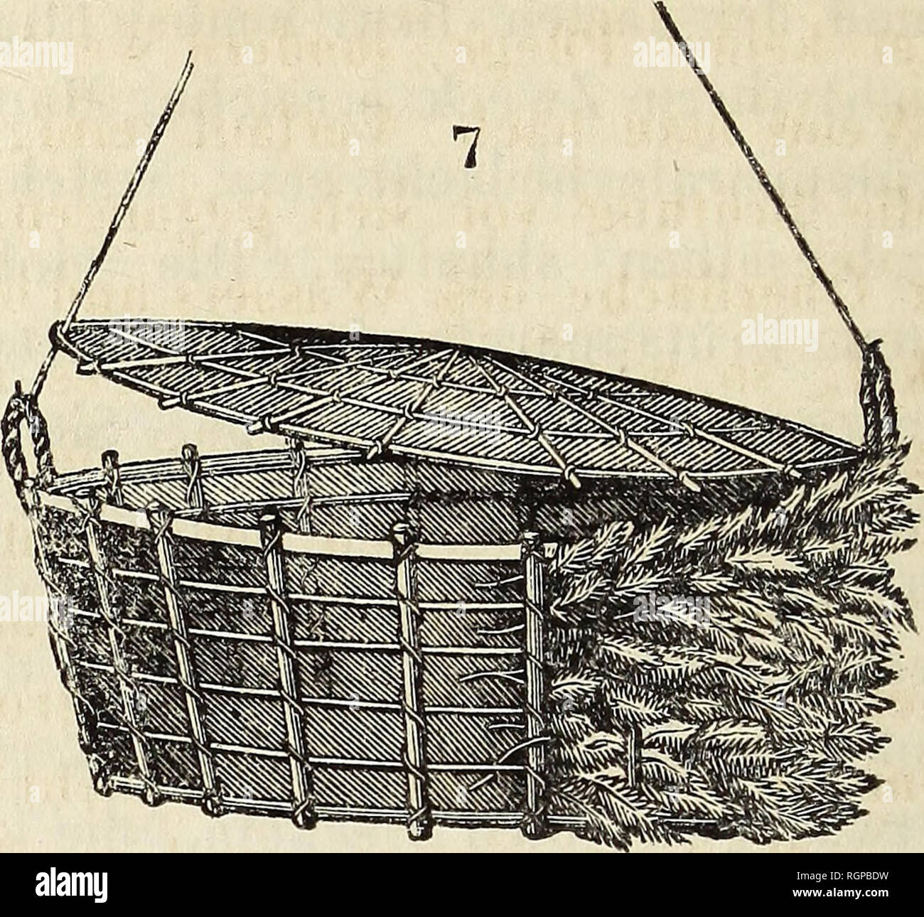 . Bulletin de la Société Impériale des Naturalistes de Moscou. 434 Fig. t.. (las Gefleclit sowohl fier Weidenrutben *als des Griin- strauchs an. Es verstebt sich von selbsl, dass der ganze Rorb, den Deckel mit eingerechnet, mit Griinstraucb durcb&lt;;eflochteo sein muss, obgleieb die Figur nur einen Theil davon anzeigt. Die Fig-. 8 giebt die Stellung des Korbes im Wasser an. Fig. 8.. Please note that these images are extracted from scanned page images that may have been digitally enhanced for readability - coloration and appearance of these illustrations may not perfectly resemble the original Stock Photo