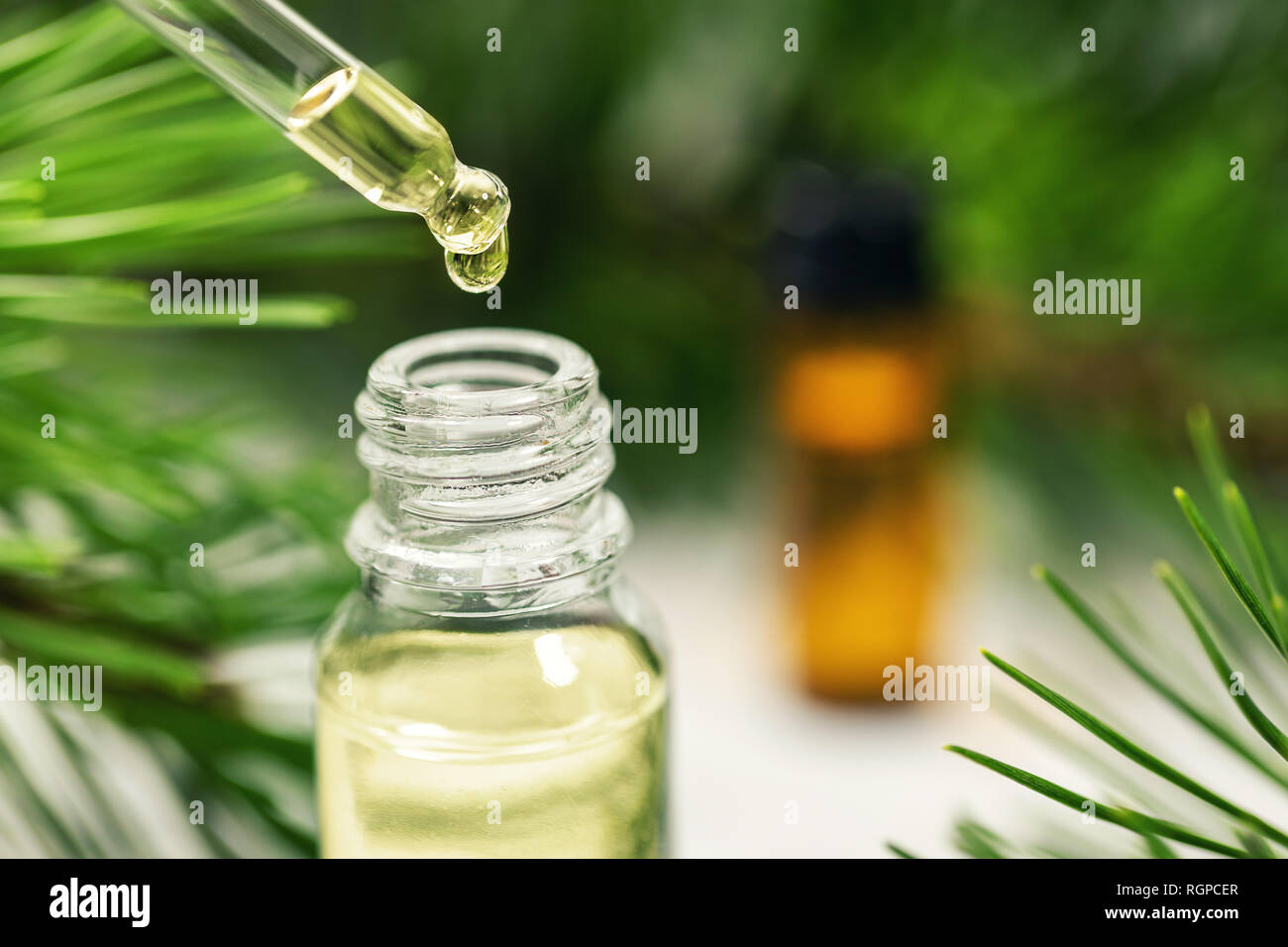 pine tree needle essential oil dripping from the dropper Stock Photo