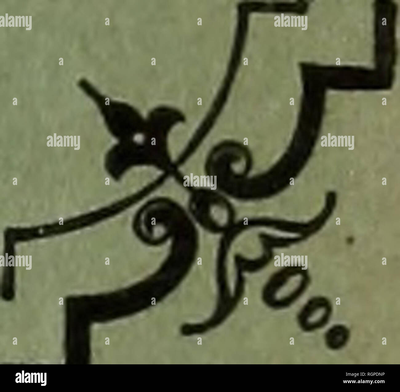 Page 7 12 19 High Resolution Stock Photography And Images Alamy