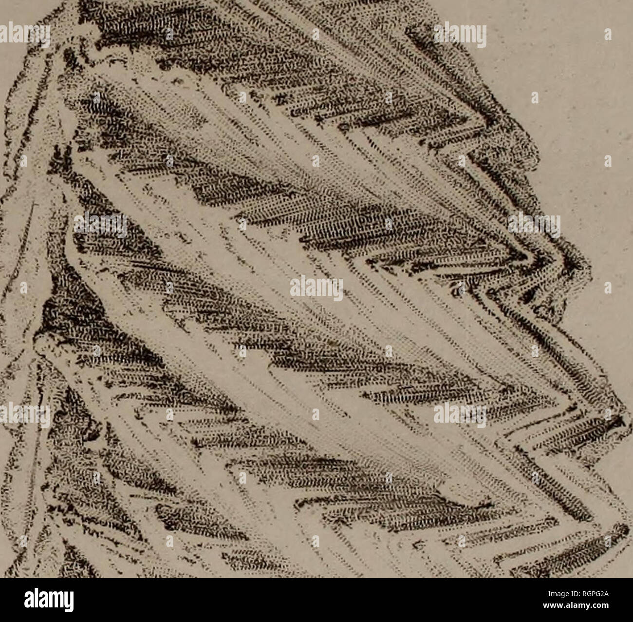 X Typ High Resolution Stock Photography And Images Alamy