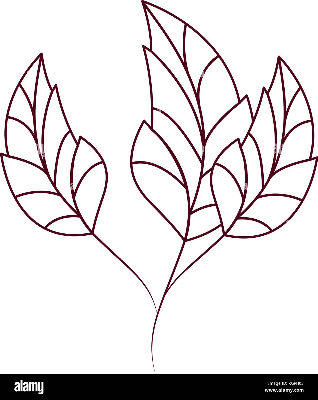 branch with leaves isolated icon Stock Vector Image & Art - Alamy