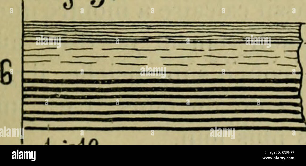 Tissure High Resolution Stock Photography And Images - Alamy