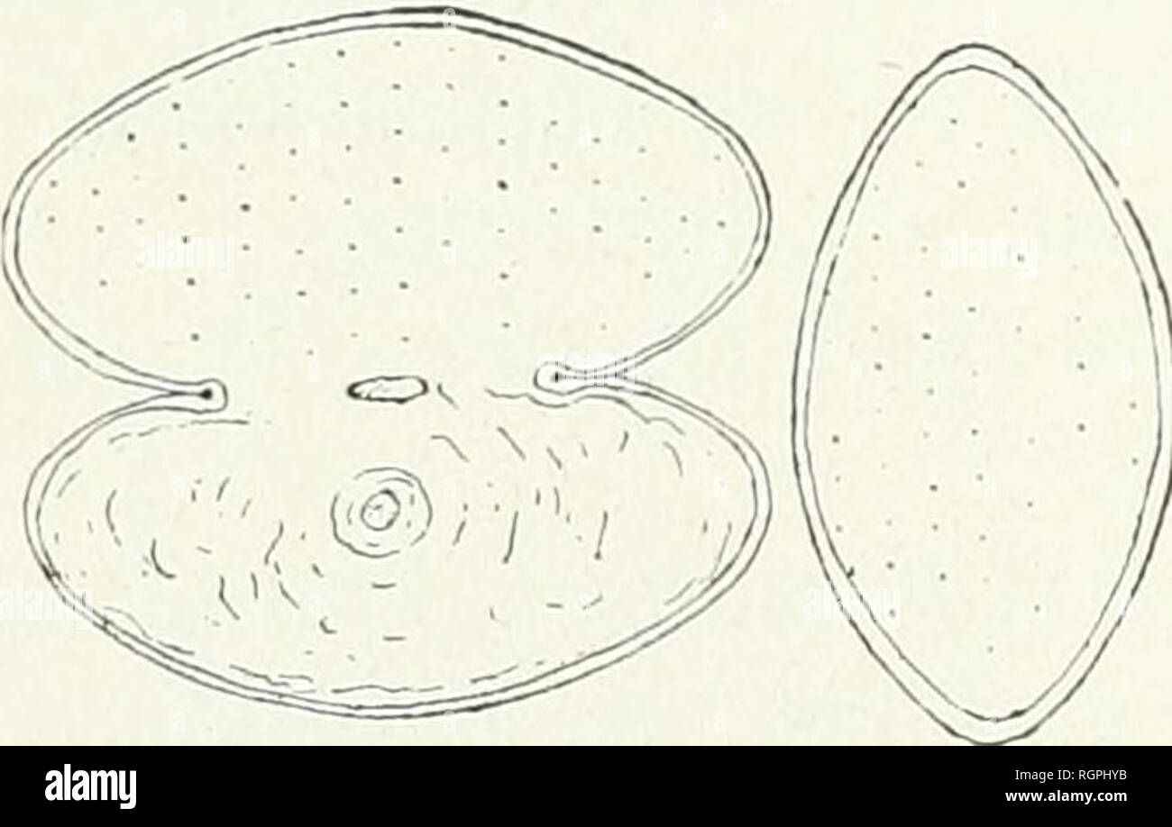 Ordre de hauteur hi-res stock photography and images - Alamy