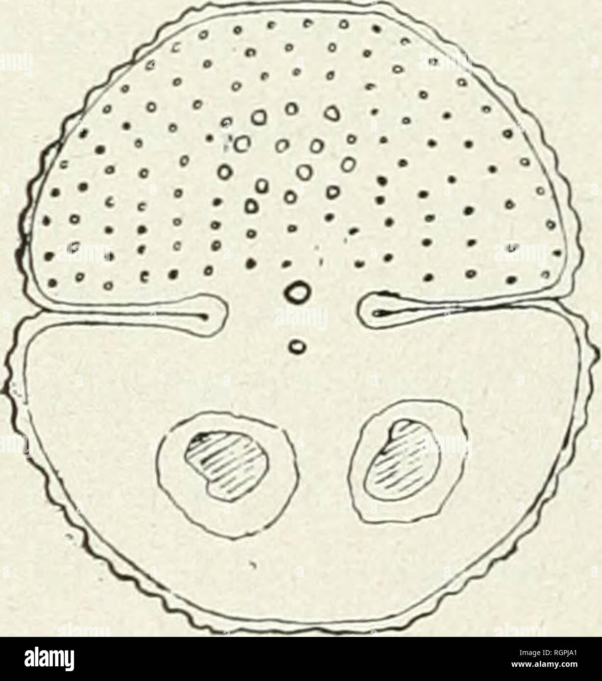 Fi 103 Stock Photos Fi 103 Stock Images Page 3 Alamy