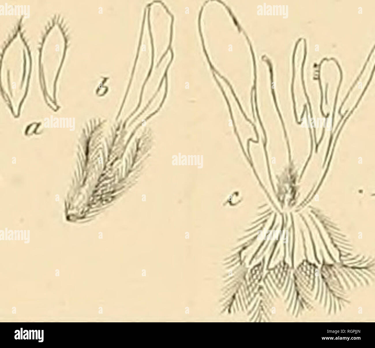 Page 3 D D D N N High Resolution Stock Photography And Images Alamy