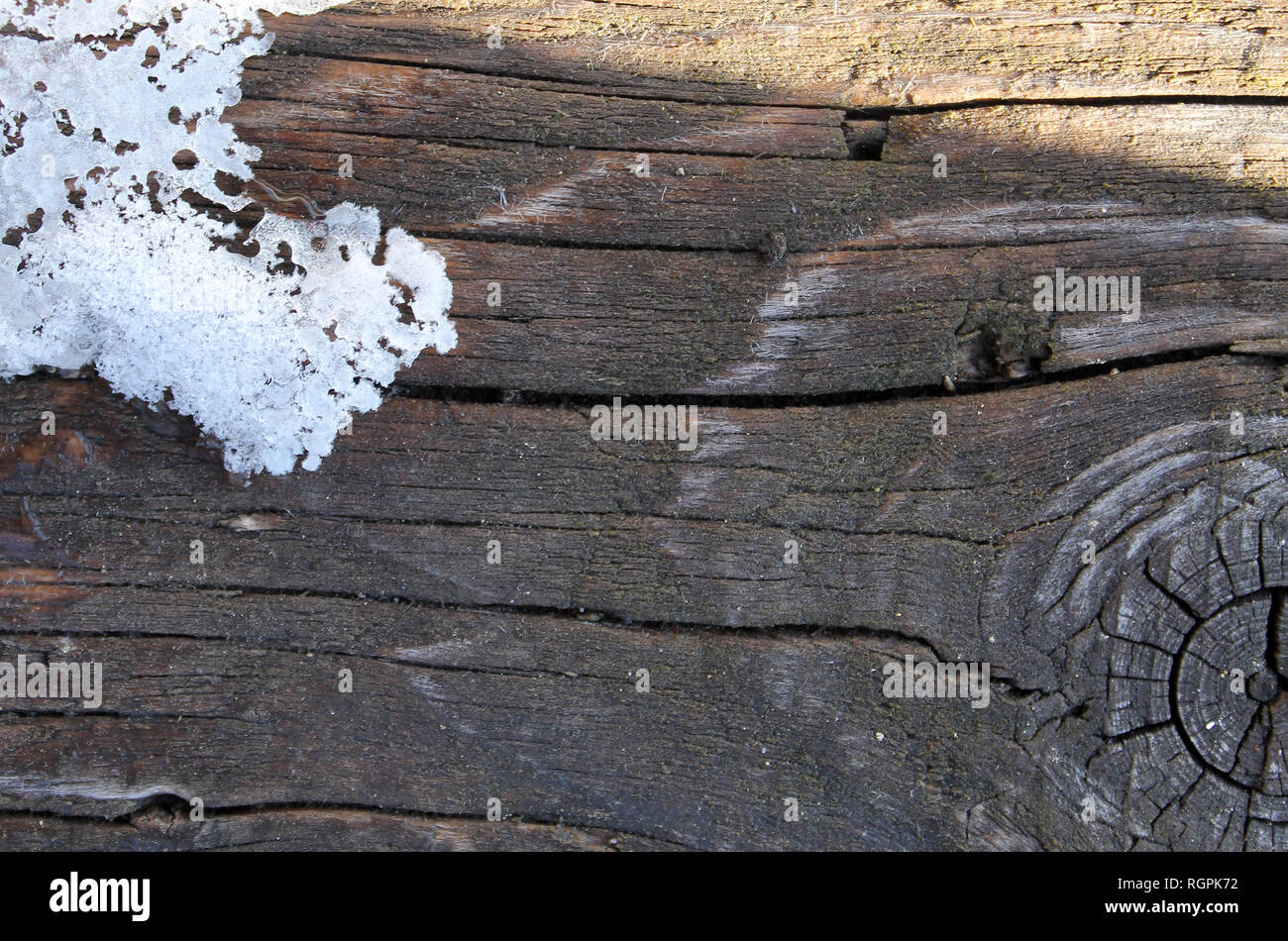 The old wood texture with natural patterns. Inside the tree background ...