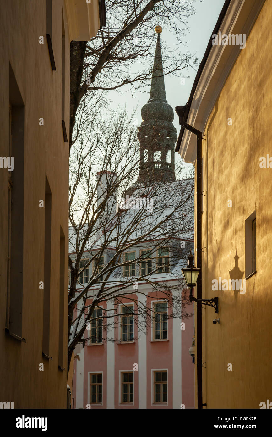 Winter afternoon in Tallinn old town. Stock Photo