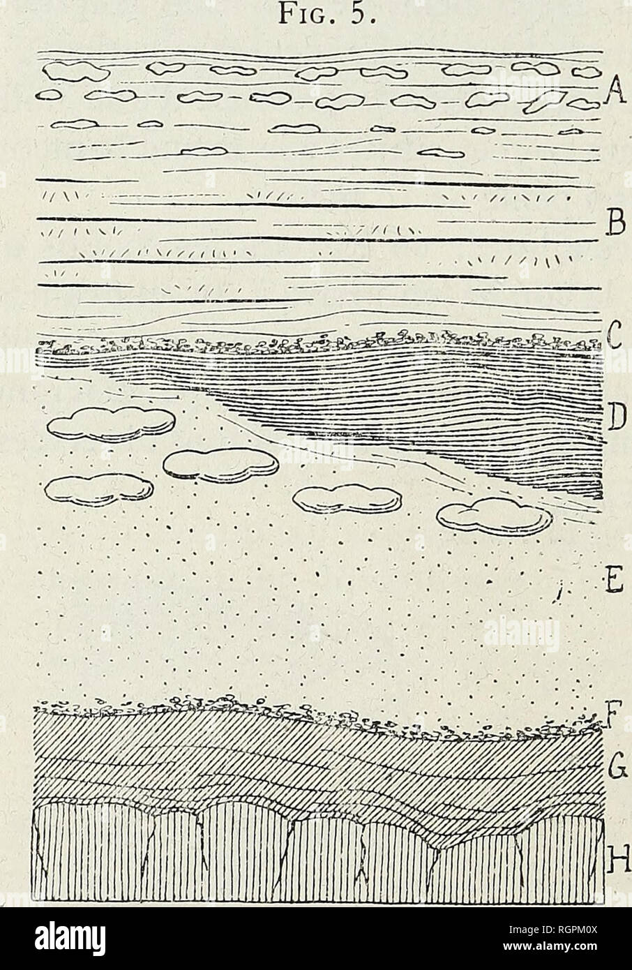 Bulletin De La Societe Belge De Geologie De Paleontologie Et D Hydrologie 196 A Rutot A Coupes Aocanes 27 Juh D Gravier Base Du Bruxellien E Lit D Argile Noire Perfora C E A Empreintes