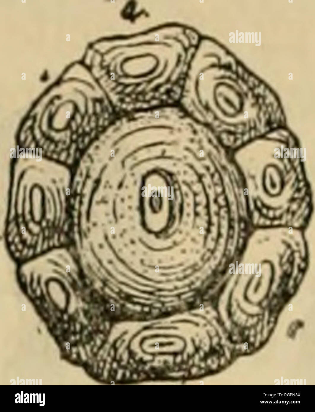 exemple de lettre manuscrite   80