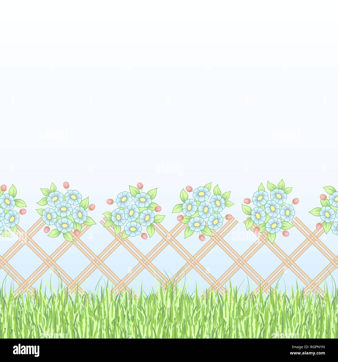 Background with fence, green grass and daisies bouquets Stock Vector