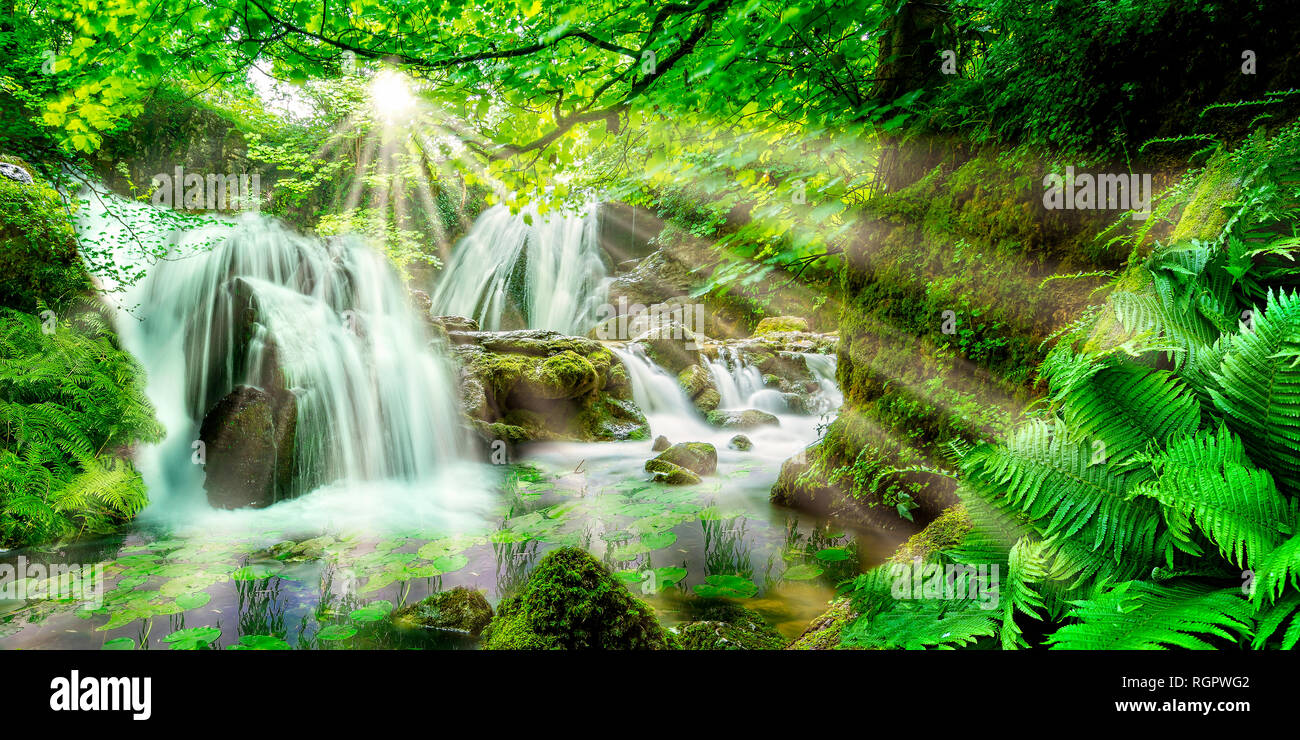 View into an idyllic forest with waterfalls and ferns Stock Photo