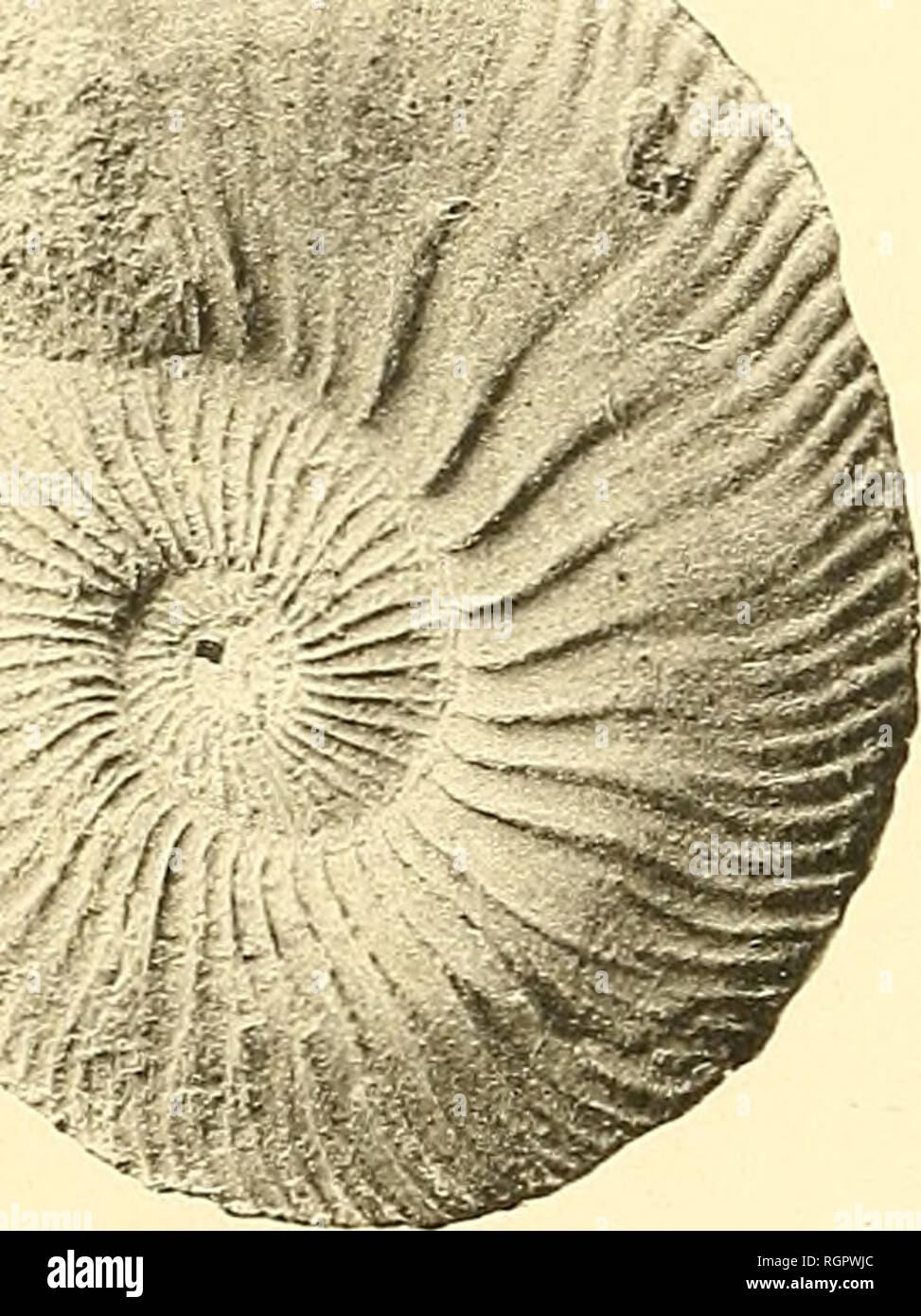 D J Mia High Resolution Stock Photography And Images Alamy