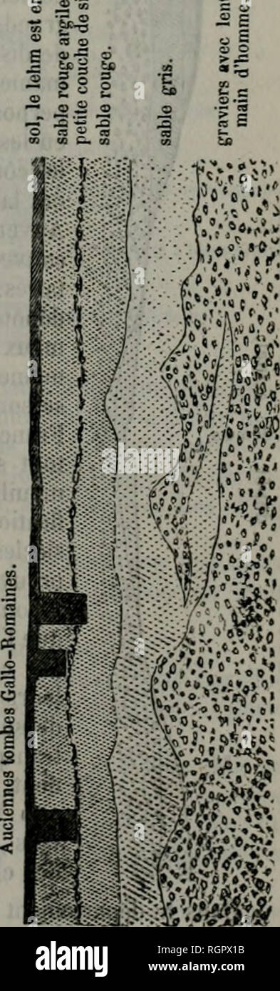 Bulletin De La Socia C Ta C Vaudoise Des Sciences Naturelles C G 3 Je 0 2 X Amp 3 T X V Es S C A 0 U Sz Es G X 3