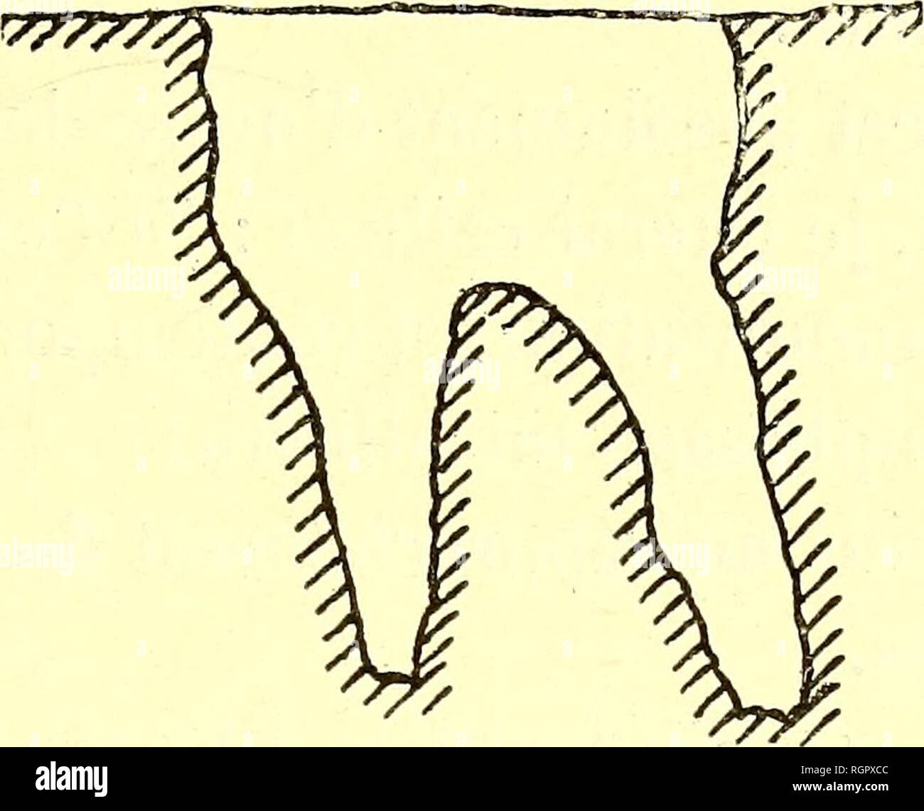 . Bulletin de la SociÃ©tÃ© belge de gÃ©ologie, de palÃ©ontologie et d